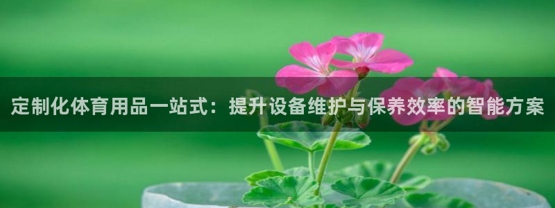 星欧娱乐的官方版本更新内容有哪些：定制化体育用品一站式：提升