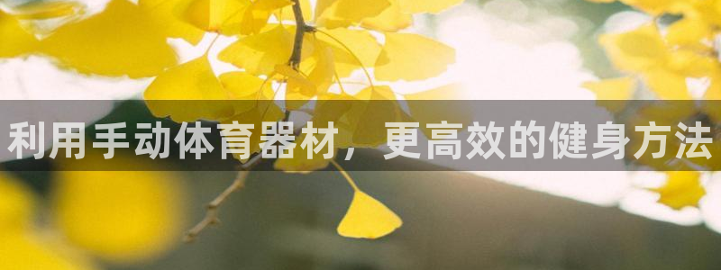 星欧娱乐官方客服联系方式是什么：利用手动体育器材，更