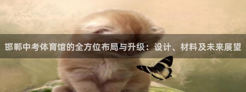 星欧娱乐联售后服务评价：邯郸中考体育馆的全方位布局与升级：设 