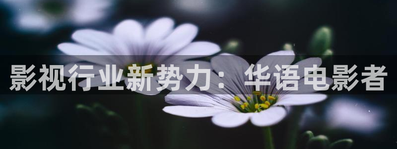 美女羞羞影院