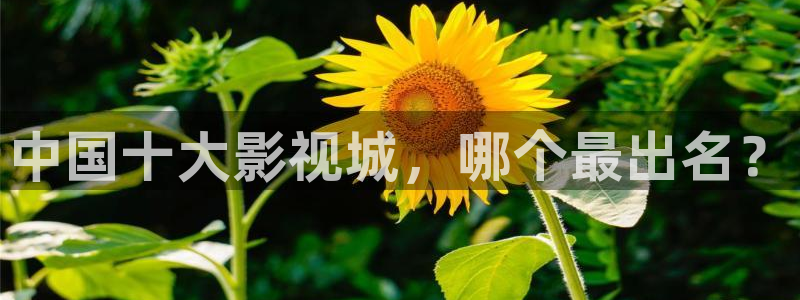 羞羞影院午夜男女爽爽影院
