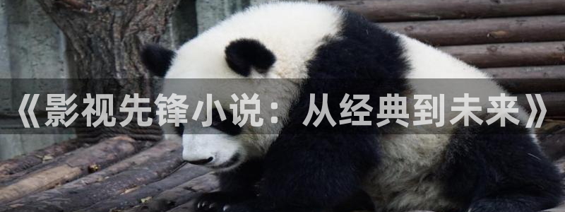 羞羞羞羞影院