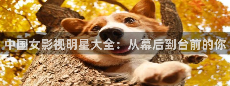 羞羞影院视频