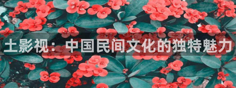 羞羞影院在线观看视频