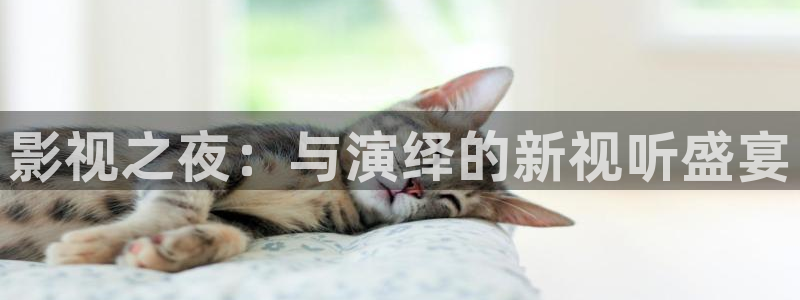 日韩羞羞影院