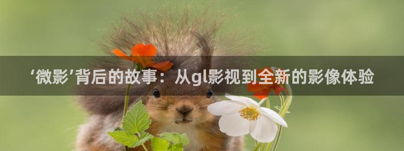美女羞羞影院大全